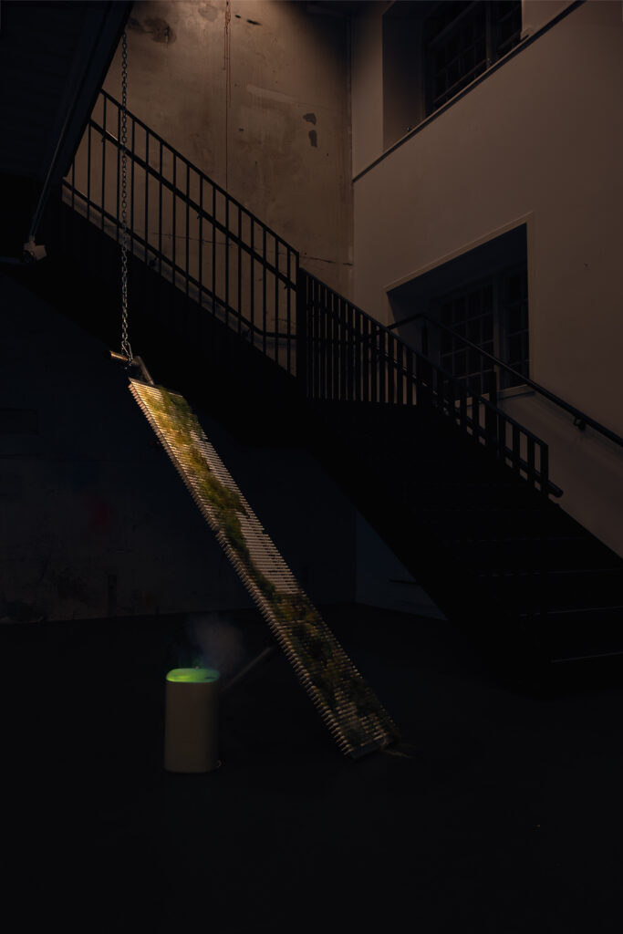 Documentation photograph of a sculpture "Purified Vessel", a big, industrial object overgrown with wispy forest lichen.